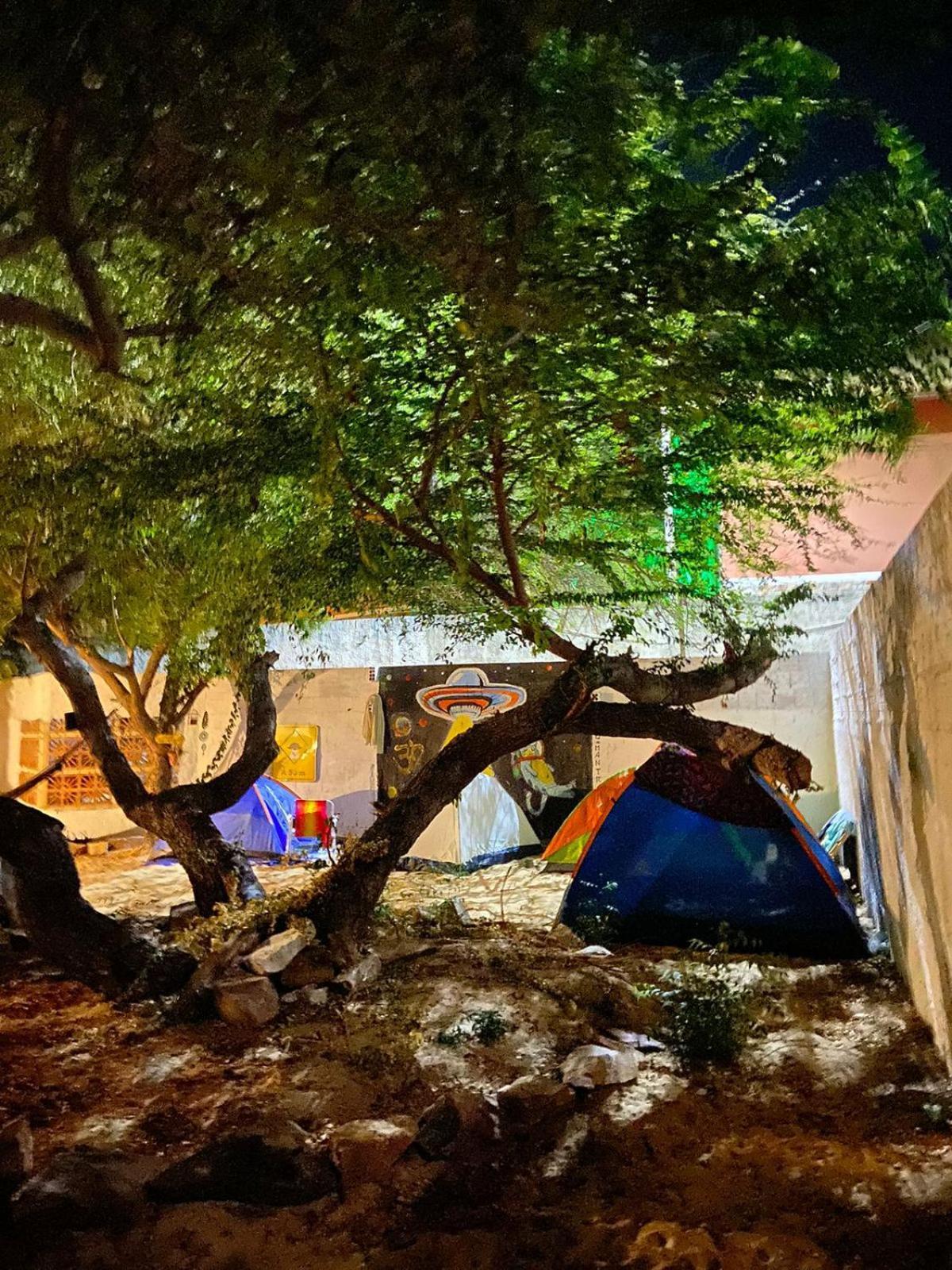 Canoa Roots Hostel & Camping カノア・ケブラーダ エクステリア 写真