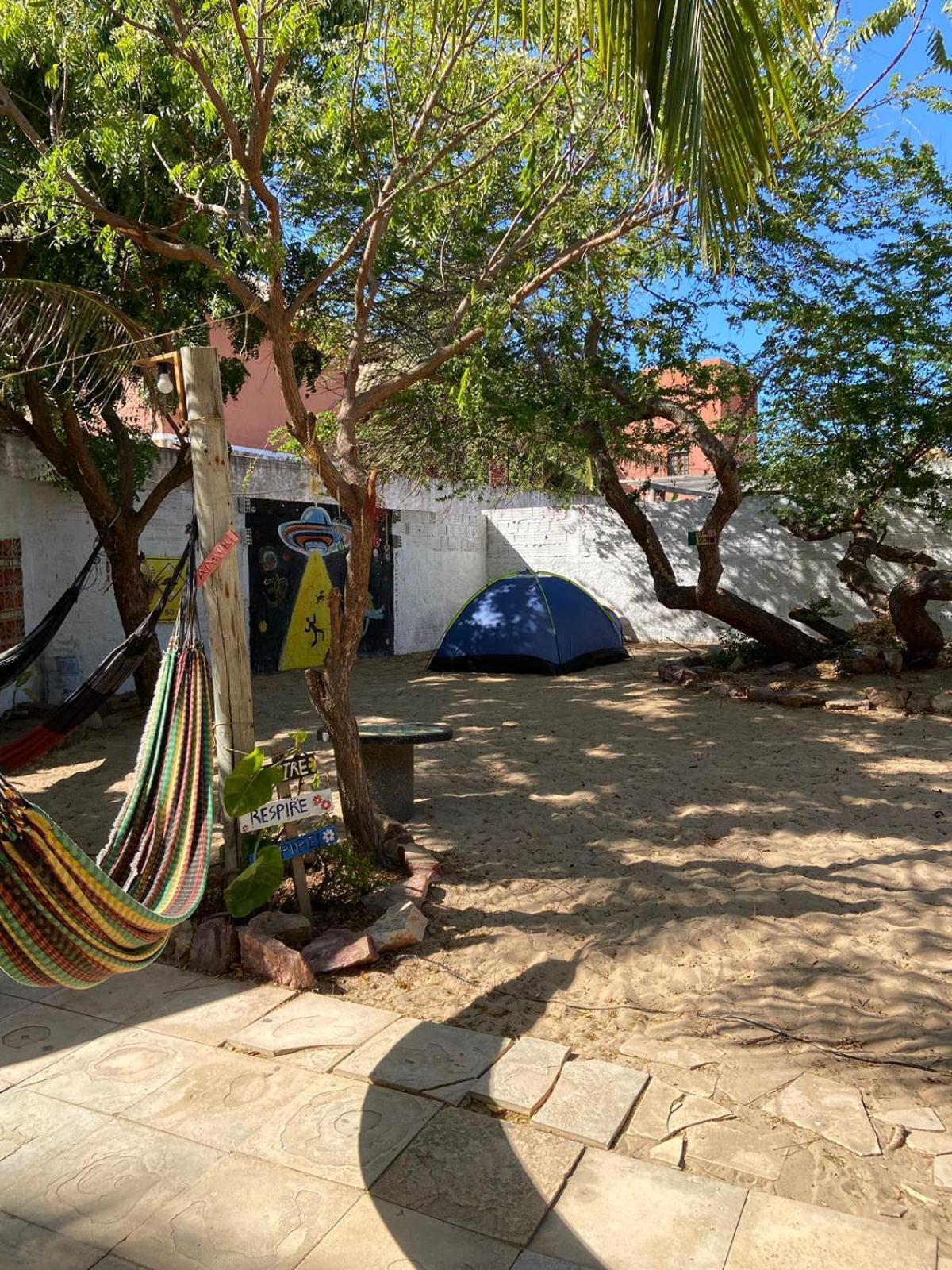 Canoa Roots Hostel & Camping カノア・ケブラーダ エクステリア 写真